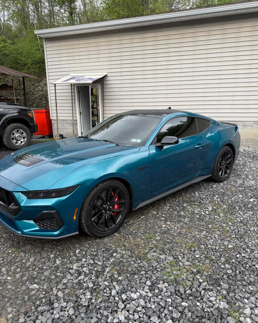 Mustang window tint at Platinum Film Workz